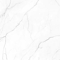 EC Elegance White Polished 48 x 48